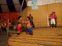 战斗 两个小矮人  给你两拳  观看