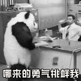 熊猫 大熊猫 哪来的勇气 挑衅