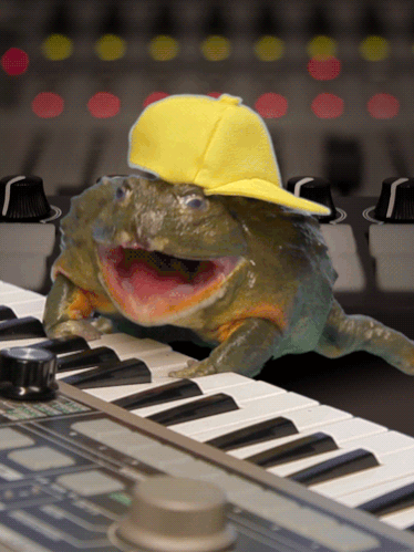 唱歌 青蛙 动物 演奏