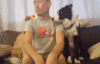 边牧 狗狗 宠物 可爱