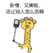 金馆长 长颈鹿 玩自拍 卧槽又美了这让别人怎么活啊 握草