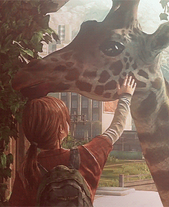 长颈鹿 眨眼 动耳朵 摸脸 小女孩 温馨 可爱 giraffe