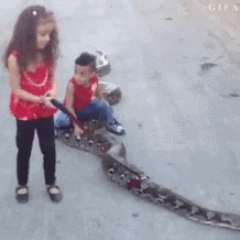 蟒蛇 儿童 坐蛇身上 胆大