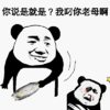 你说是就是 我叼你老母啊 金馆长 鼻青脸肿 流血 熊猫 打人