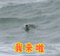 soogif soogif出品 地球神奇的一天 我来啦