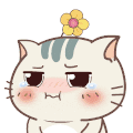 猫咪 摇头 哭泣 委屈 可怜