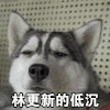 明星网红 凌更新 帅气 林更新的低沉
