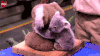 考拉 宝宝 萌化了 动物 koala 动物园
