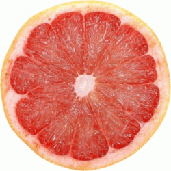 橙子 变色  食物 水果