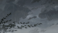 下雨 树枝 雷电