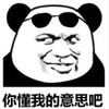 暴漫 文字表情包 你懂我的意思吧 搞笑 沙雕 魔性