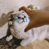 萌宠 猫星人 生活对我 无奈 呆萌 可爱