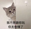 萌宠 猫星人 我不想跟你玩 你太色情了 搞怪 逗