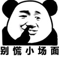 熊猫头 搞笑 雷人 斗图 别慌 小场面