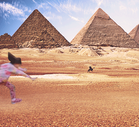 考拉 p图 埃及 金字塔 翻跟头