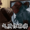 气质你麻痹