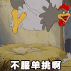 公鸡 不服单挑啊 生气 抓狂