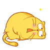 猫咪 睡觉 晕了 无精打采