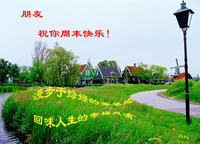 图片 周末  风景 绿色