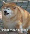萌宠 汪星人 哭得像个两百斤的胖子 呜呜呜 搞怪 逗