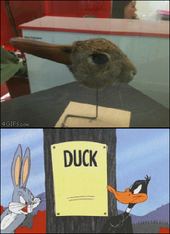 鸭子 争论 动物 搞笑 错觉 兔子 gif 屌丝