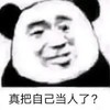 暴漫 熊猫头 真把自己当人了 好奇 搞怪 逗