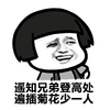 蘑菇头 坏笑 逗比 遥知兄弟登高处遍插菊花少一人