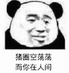 猪圈 猪圈空荡荡 而你在人间