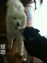 嗯嘛亲一个图片_嗯嘛亲一个动态图_嗯嘛亲一个表情包gif动图下载_soo
