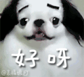 好呀 好的 好 好了