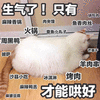 生气 猫 哄 只有