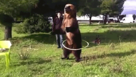 熊 bear 呼啦圈 运动