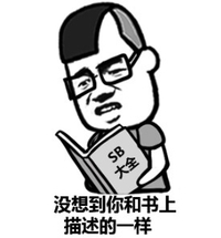 你和书上描述的一样 看书 斗图 搞笑