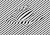 logo 黑白 草莓音乐节2016