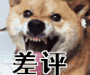 狗 愤怒 呲牙 差评 差评 差评