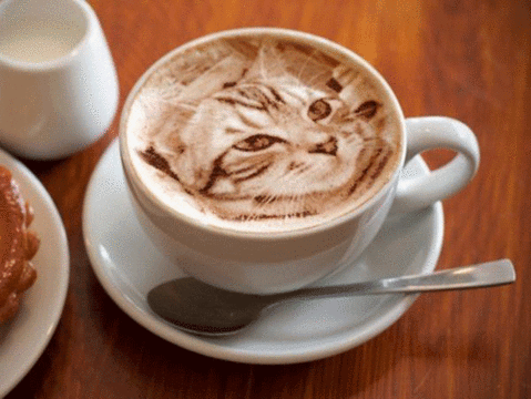 咖啡杯 勺子 猫咪 盘子