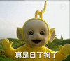 真是日了狗了 欢乐 恶搞 天线宝宝