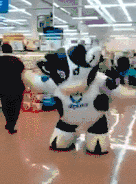奶牛 cow 疯狂 跳舞
