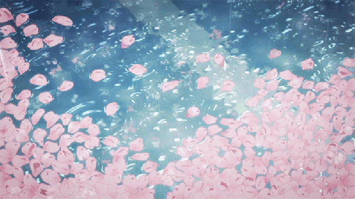 樱花 水中 下雨 浪漫