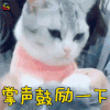 萌宠 猫咪 猫 赞 掌声 鼓励 一下 soogif soogif出品
