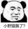 暴漫 文字表情包 小野猫飘了 搞笑 沙雕 魔性