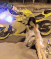 美女 摩托车 长头发 夜晚