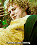 指环王 The Lord of the Rings
挣扎 魔戒 科幻