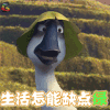 妈妈咪鸭 大鹏 生活怎能缺点绿 soogif soogif出品