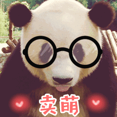 熊猫  国宝  可爱  卖萌  吐舌头