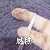 萌宠 刀 猫 威胁 搞怪 可爱