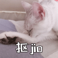 抠脚 抠jio 猫 搞怪 逗