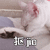 抠脚 抠jio 猫