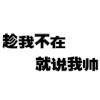趁我不在就说我帅 文字 汉字  白色背景
