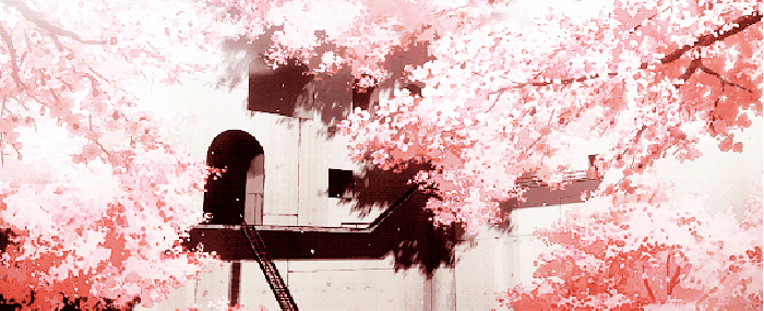 春天 花树  唯美 可爱
